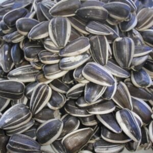 Pipas Girasol Argentinas 20 KG.