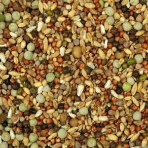 Palomos Deportivo sin Maiz 20 KG.