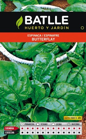 Espinaca Butterflay 25 GR.