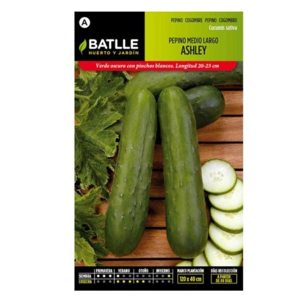 Pepino Ashley Medio Largo 10 GR.
