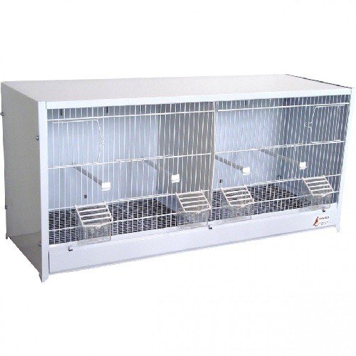 Planta Canarios Nº1 2 Departamentos