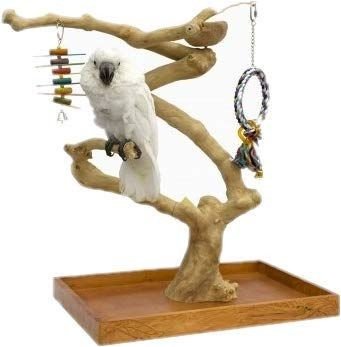 Sun Parrots Arbol Mini Medium (57x37 Alt.50-56cm.)