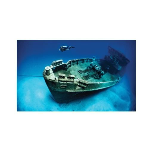 Poster Vinilo Pecio 61x40cm.