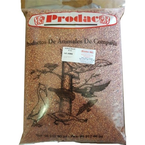 Sorgo Rojo 5 KG.