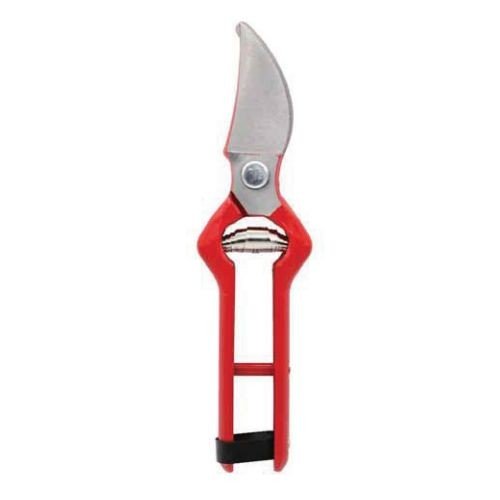 Tijera BK01 Acero Forjado 21.5CM.