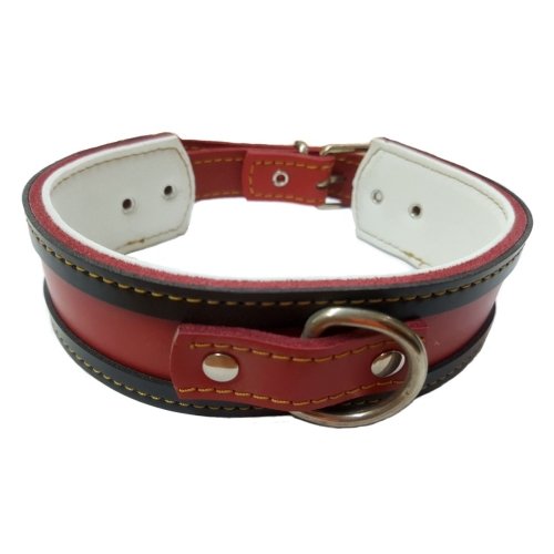 Collar Galgo Natural Borde Marron 50X4CM