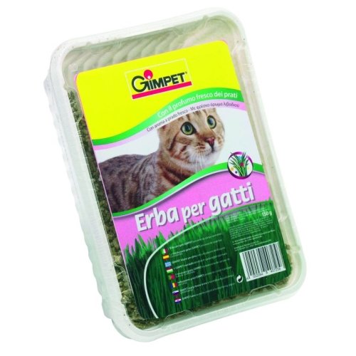 Hierba Gato Aroma Prado 150GR.GIMPET - Imagen 2