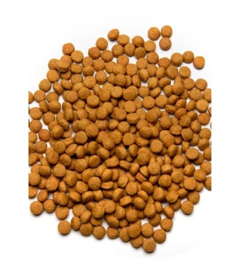 Psittacus Pienso Alta Energia 800 GR. - Imagen 2