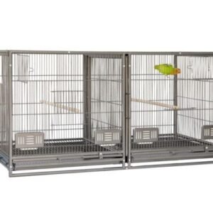 Modulo de Cria Sun Parrots 100x50x50 Cm