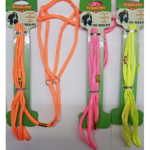 Arnes+ramal Nylon Exposicion **