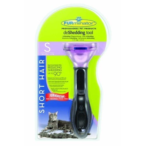 FUR.CEPILLO Gatos P.CORTO S