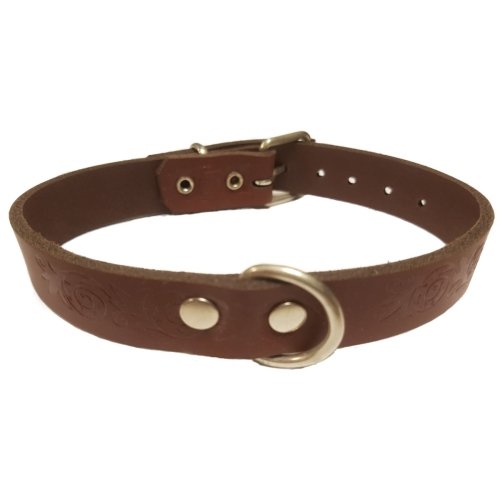 Collar Cuero Grabado Marron Trival 25x2cm