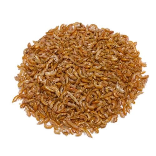 Gammarus Granel. Precio/kilo