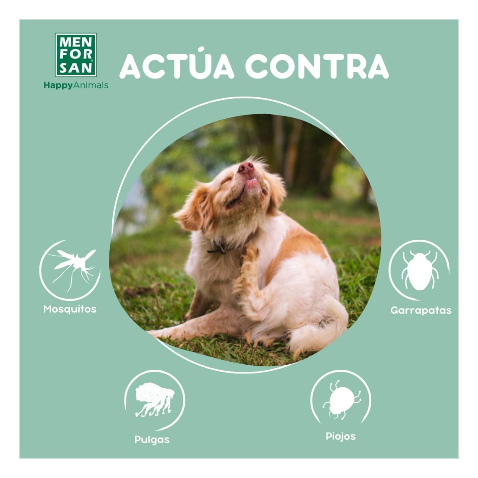 Menforsan Champu Repelente C/citronela 5 Litros - Imagen 5