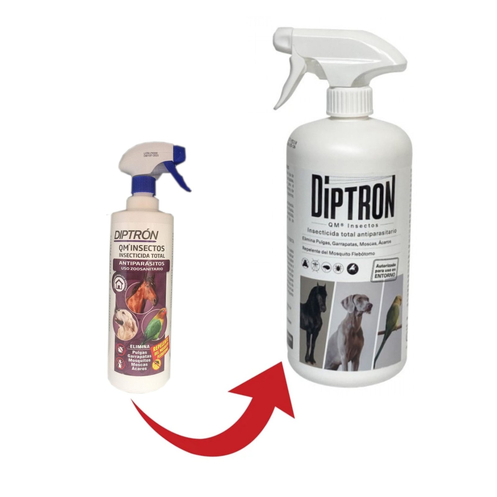 Diptron Qm Insectos Caballo/perro Insecticida 1lt. - Imagen 5