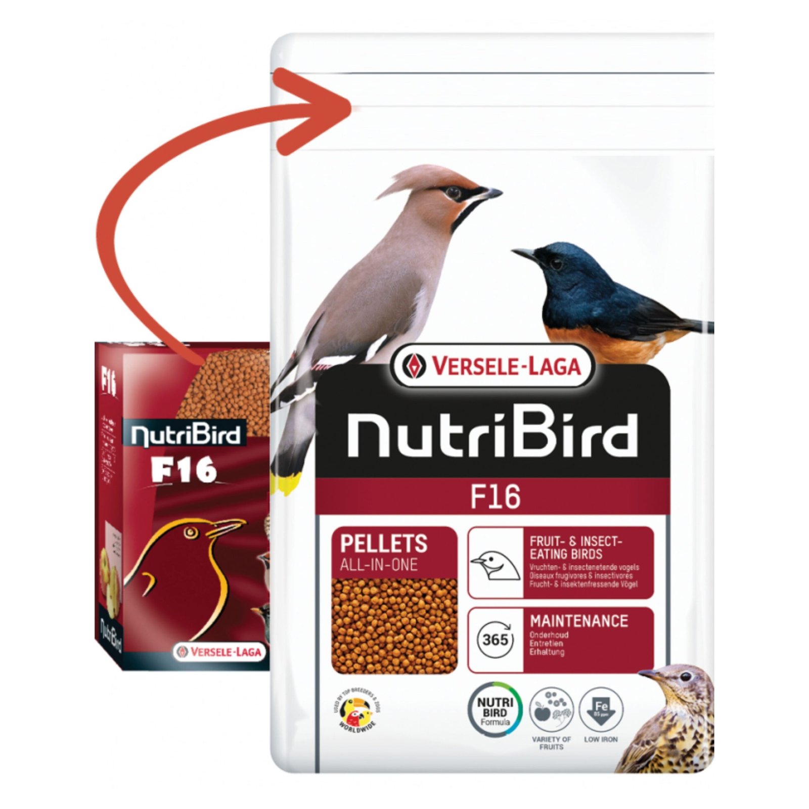 Nutribird F-16 800 GR. Insectivoros/frugívoros - Imagen 3