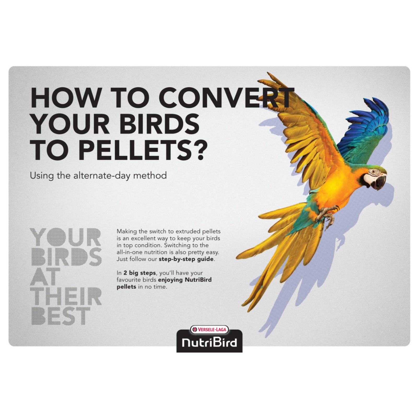 Nutribird F-16 800 GR. Insectivoros/frugívoros - Imagen 4