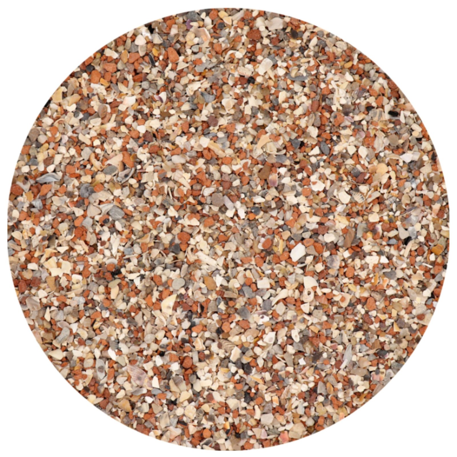 Grit Palomas con Anis 20 KG. Versele-laga - Imagen 2