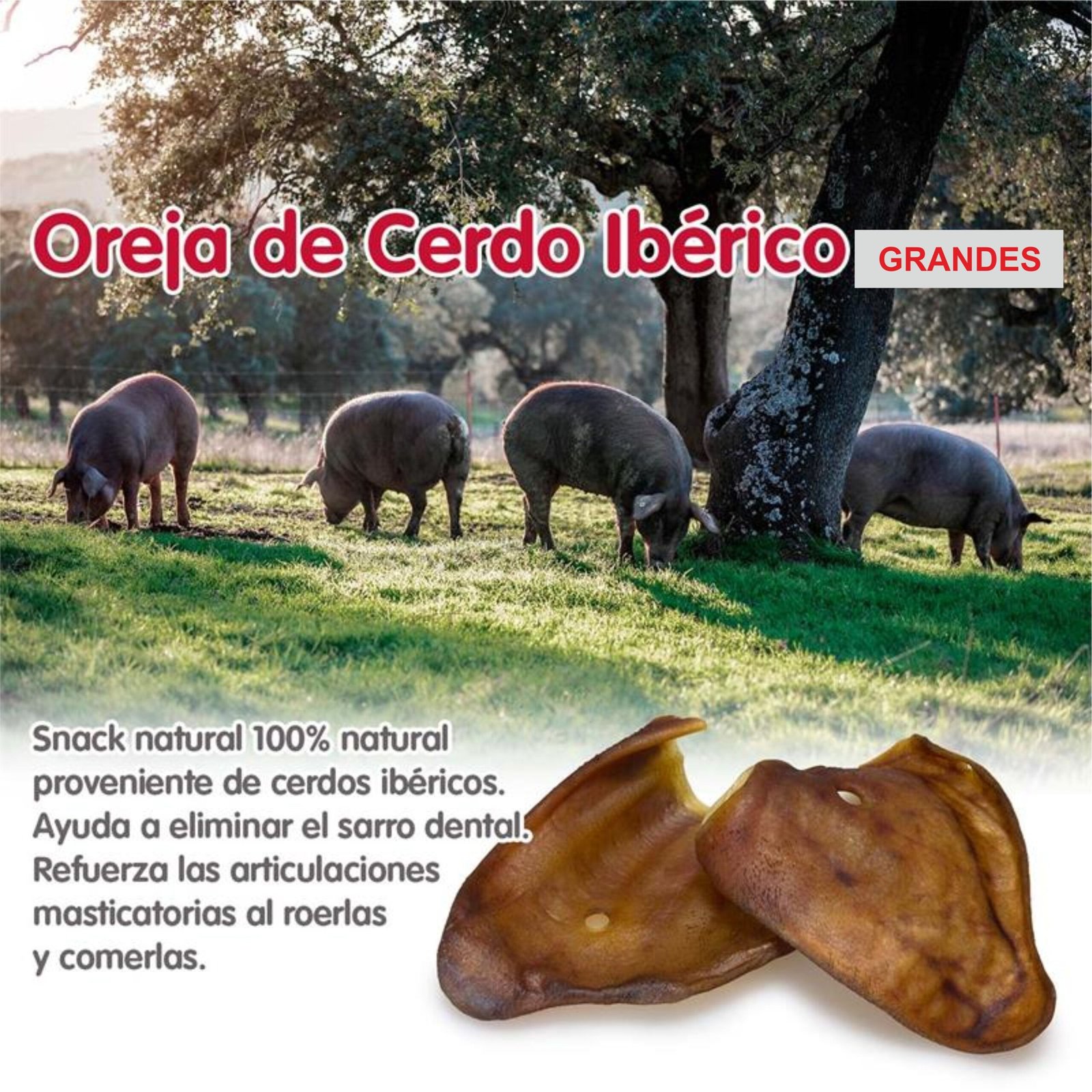 Orejas de Cerdo Iberico X-Large +60gr. Bolsa 30 Uds. - Imagen 4