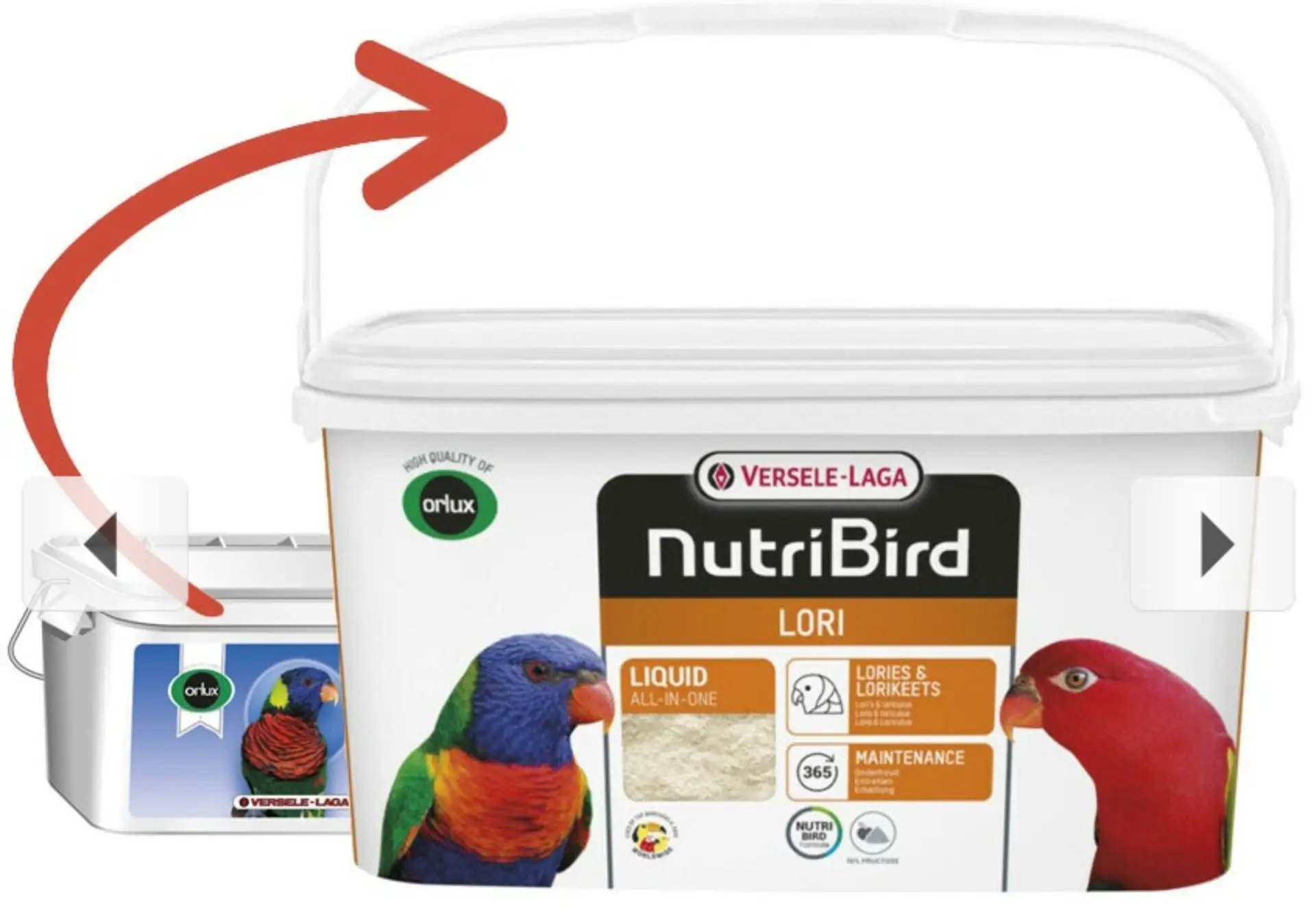 Nutribird A-18 Loris 3 KG. - Imagen 4