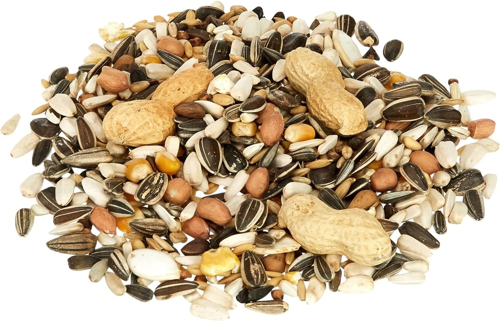 Loros Prestige 16,5 KG. - Imagen 3