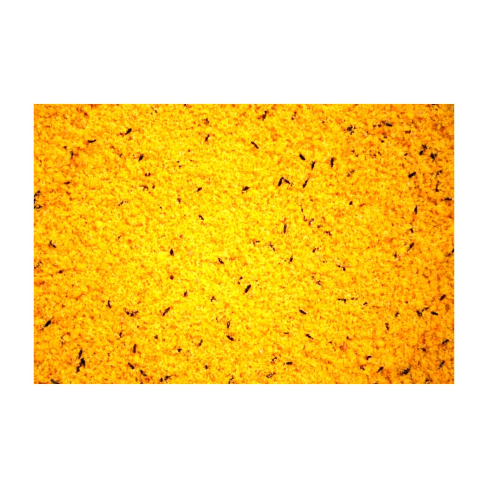 Raff Holland Cova 1 KG. - Imagen 3