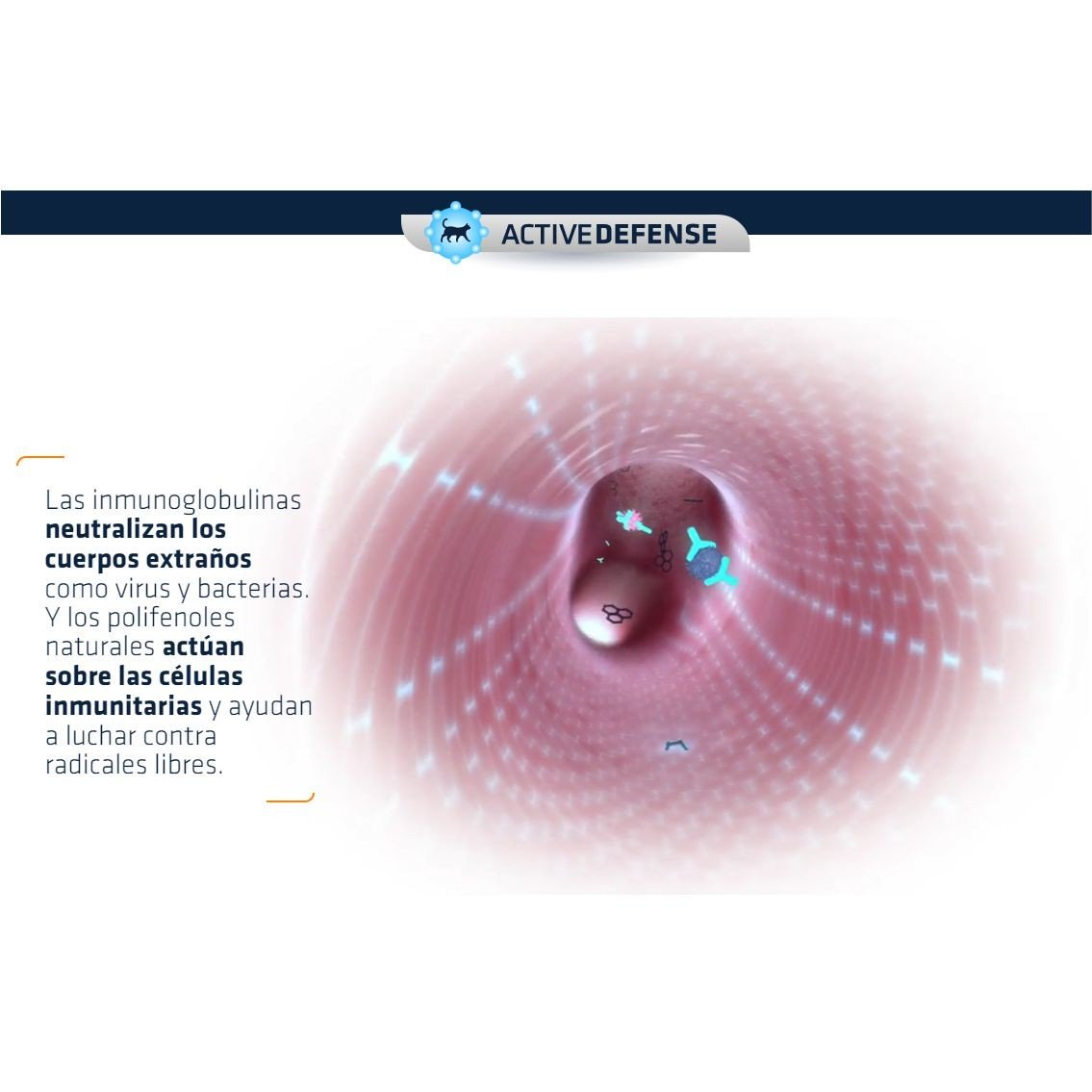 Advance Cat Sterilized Turkey 3 KG. - Imagen 7