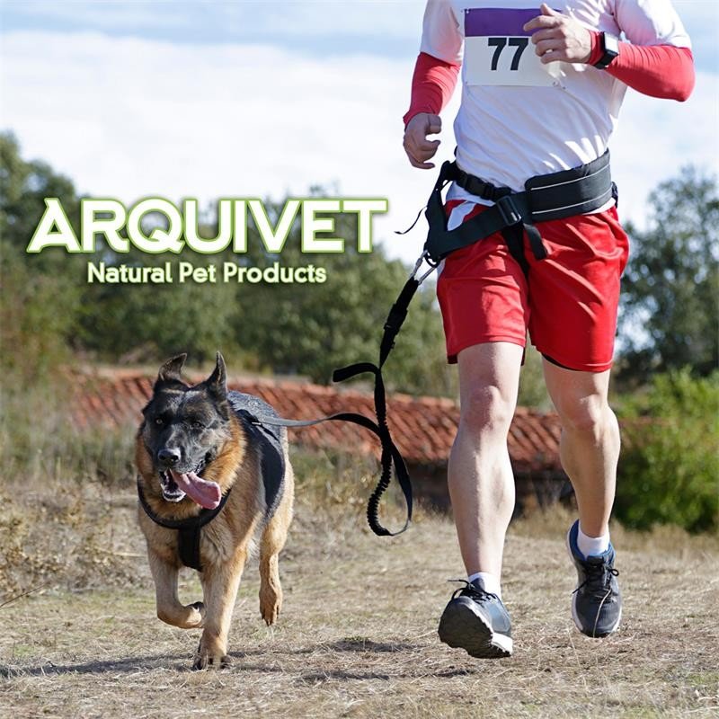 R -cinturón con Correa Canicross M (1,20-1,50m/25mm) - Imagen 4