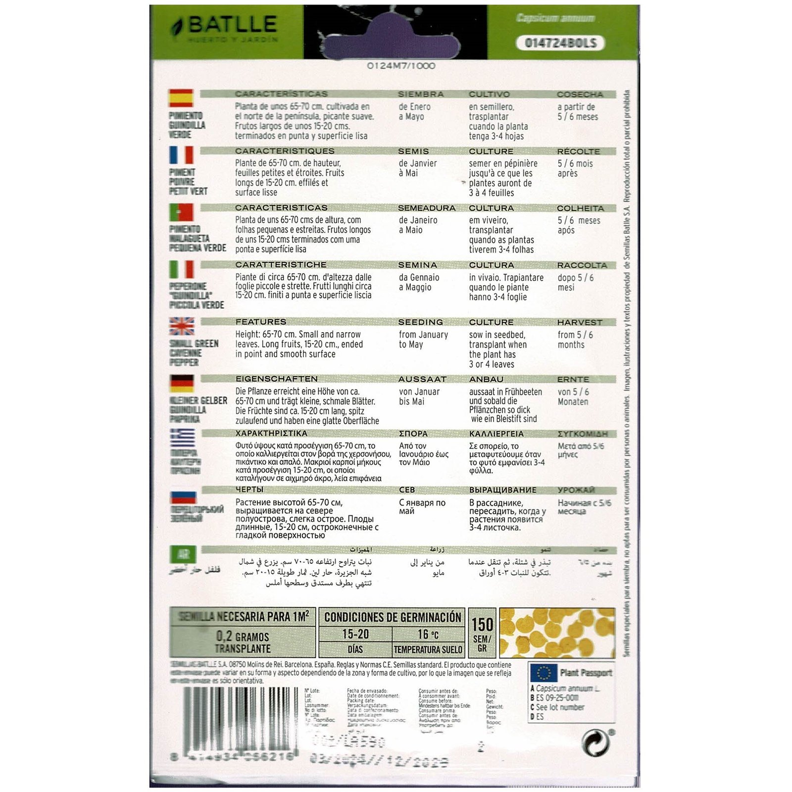 Pimiento Guindilla Verde - Imagen 3