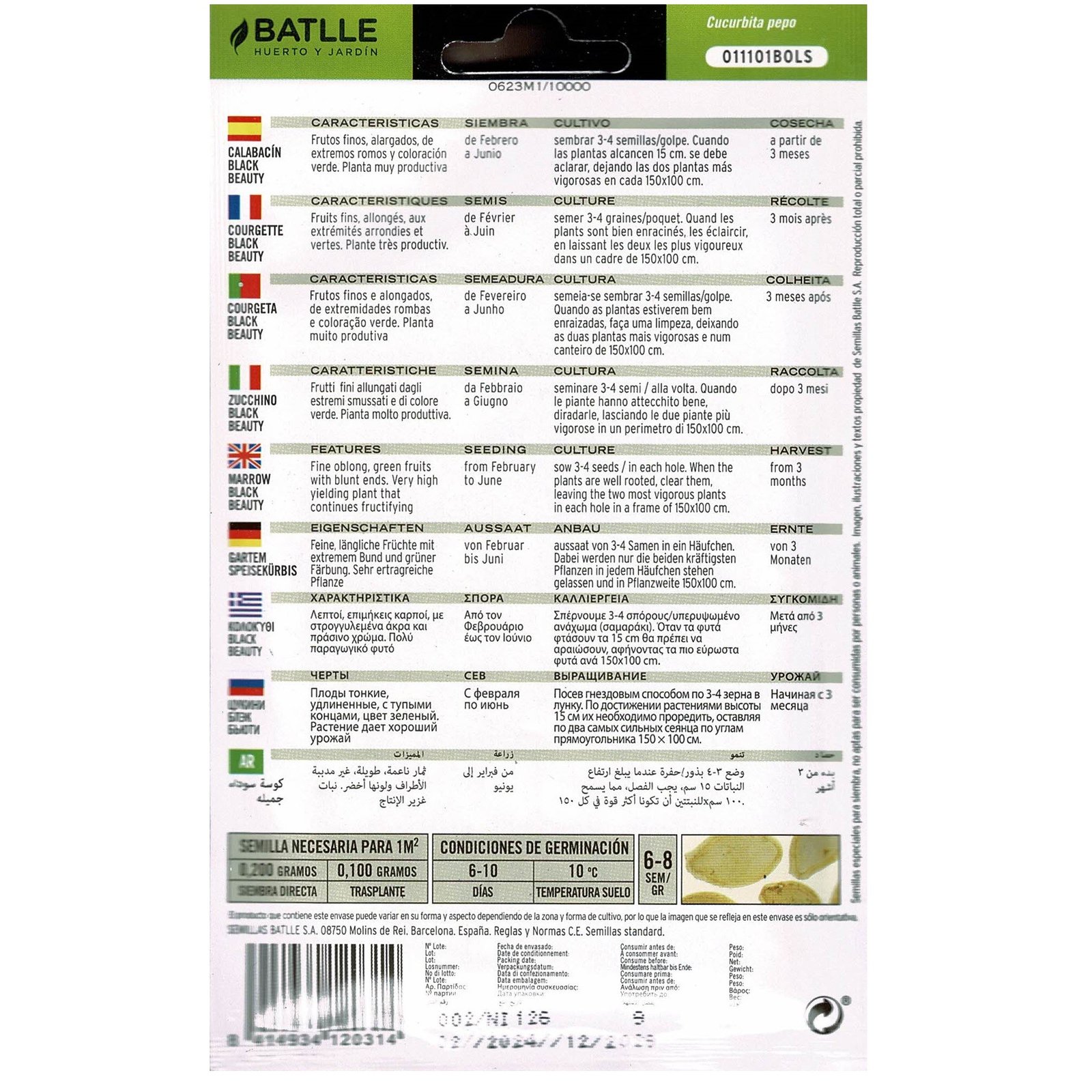 Calabacin Black Beauty Sobre - Imagen 3