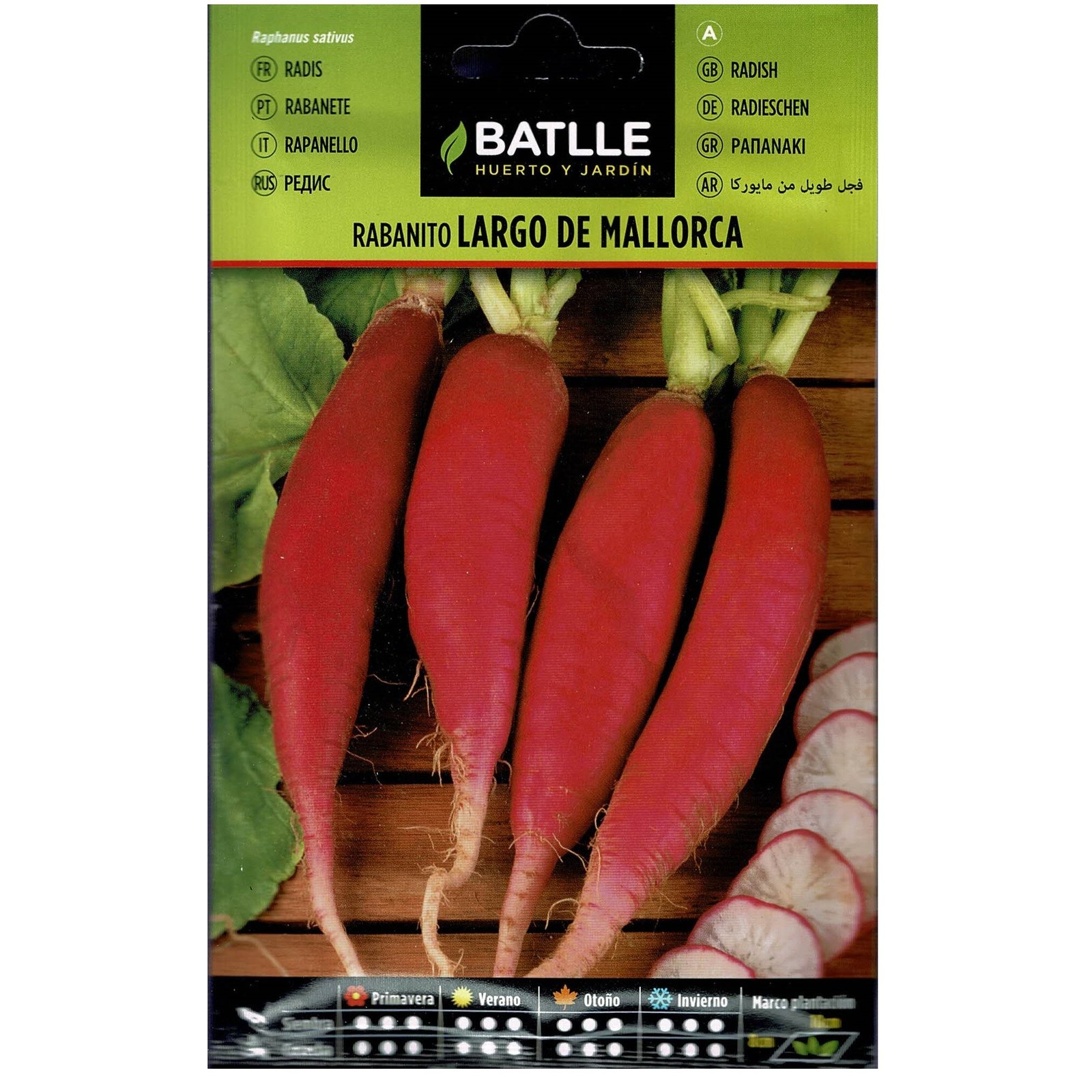 Rabanito Largo Mallorca Sobre - Imagen 2