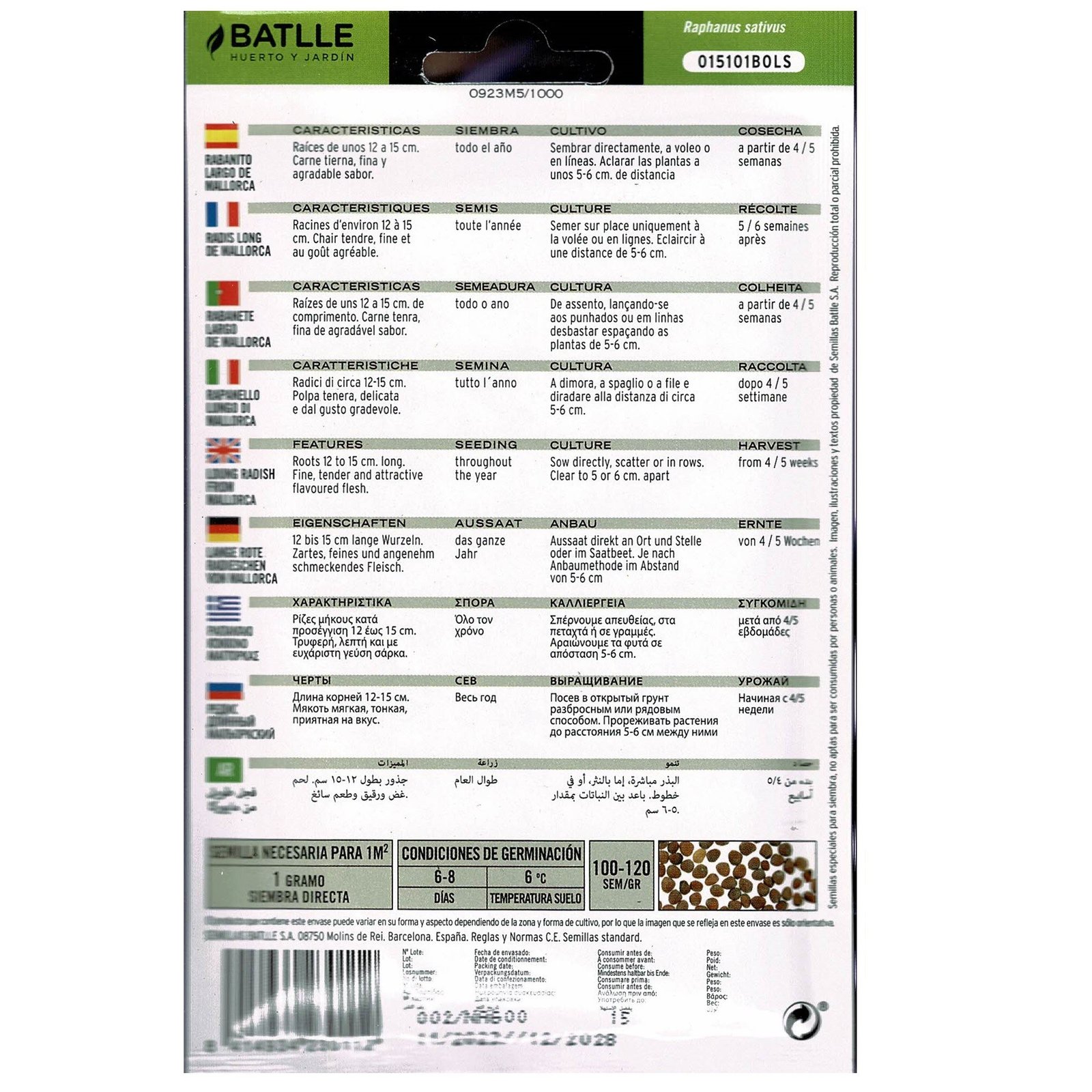 Rabanito Largo Mallorca Sobre - Imagen 3