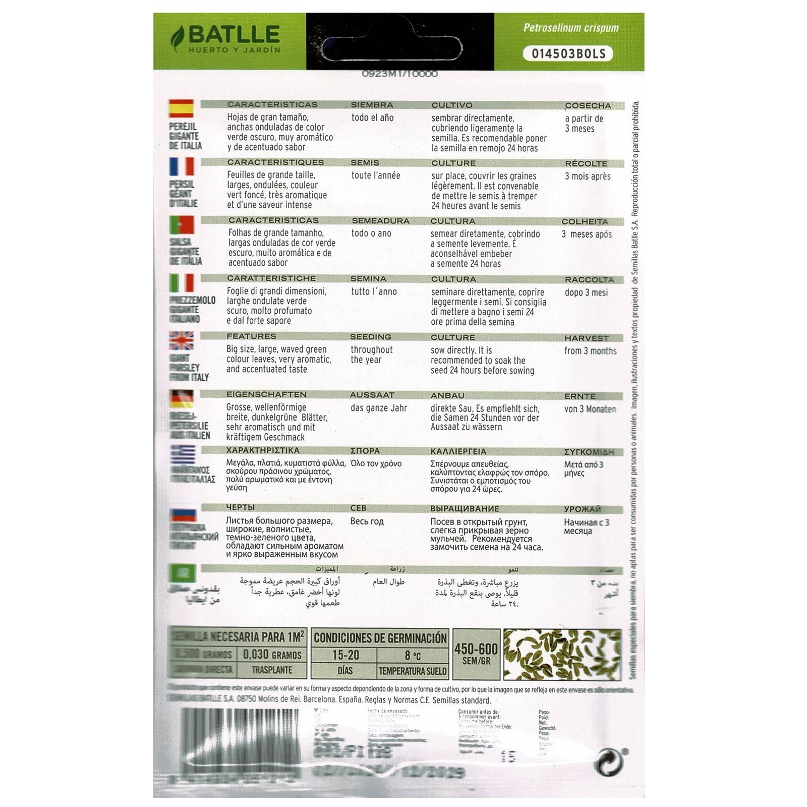 Perejil Gigante Italia Sobre - Imagen 3