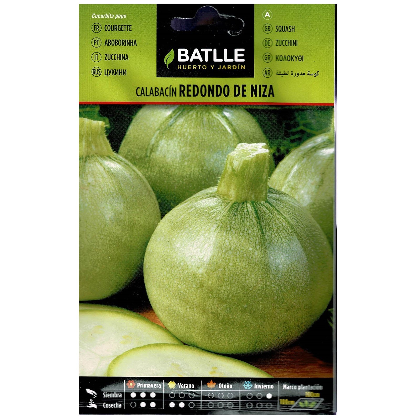 Calabacin Redondo de Niza Sobre