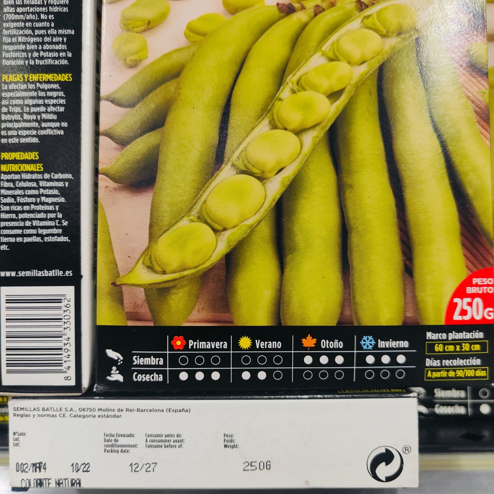 Haba Muchamiel Goliath 250 GR. - Imagen 3