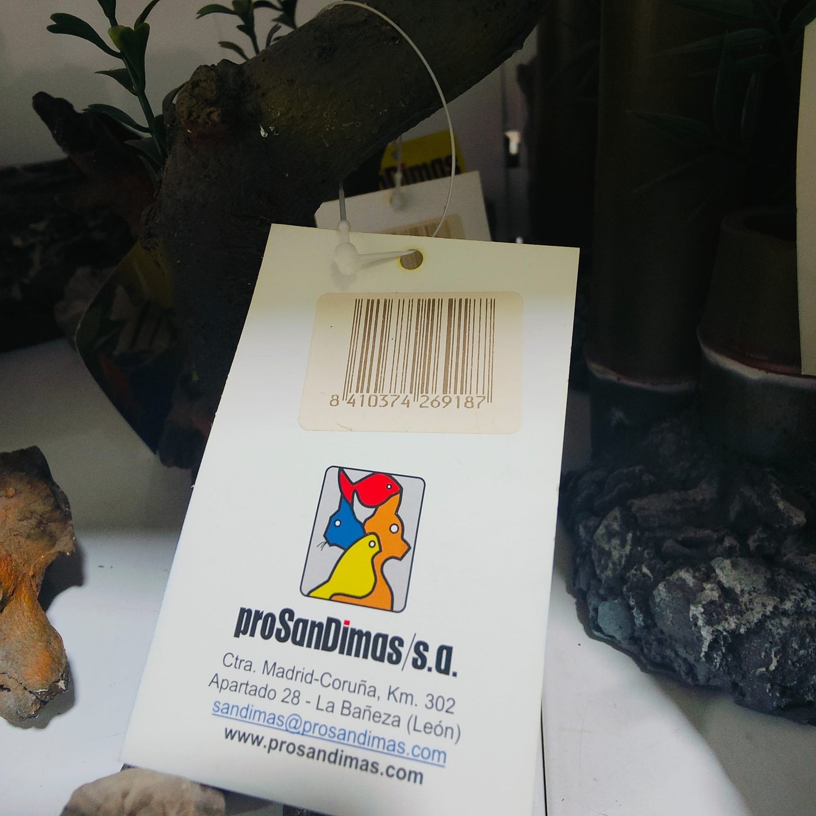 Decoracion Terrario Bonsai Grande - Imagen 2