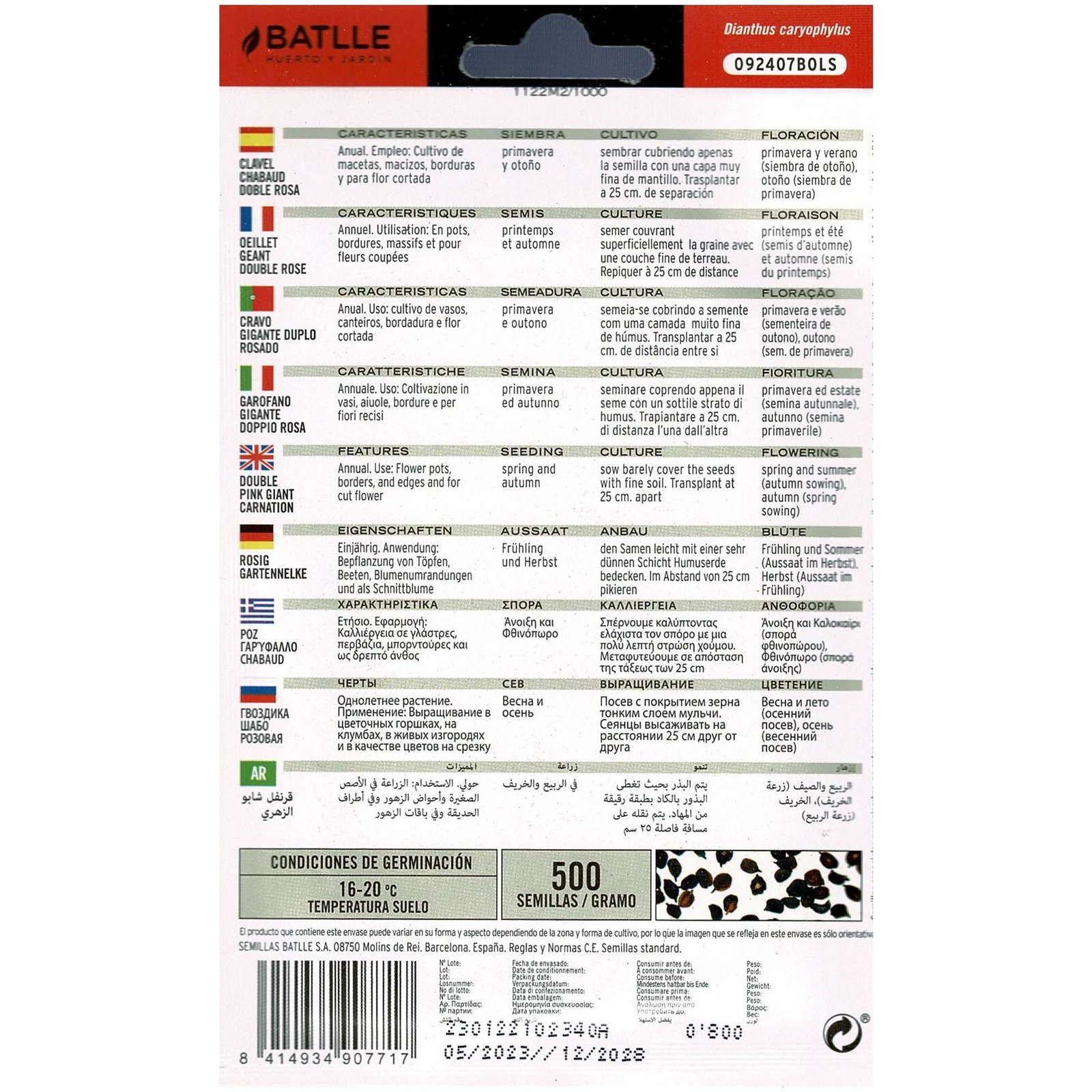 Clavel Chabaud Rosa - Imagen 2