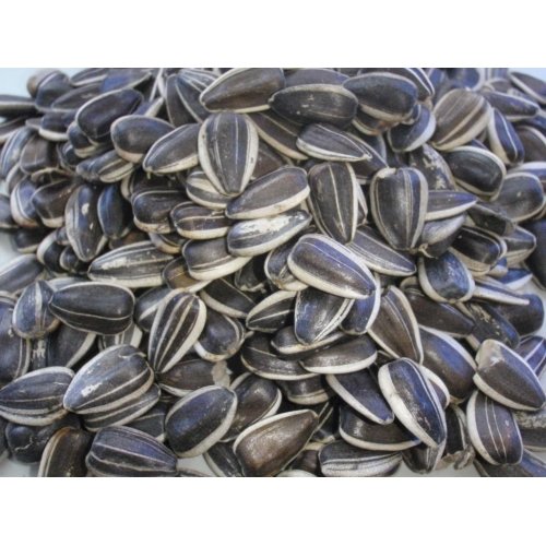 Pipas Girasol Usa 10 Kg.