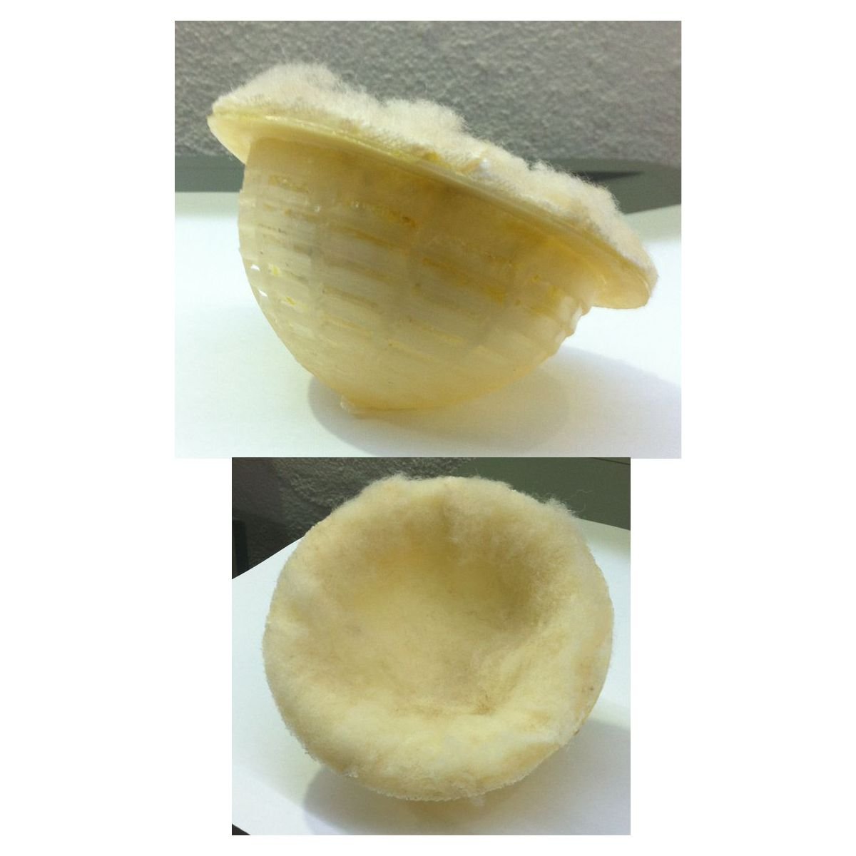 Nido Plastico Forrado C/borrego