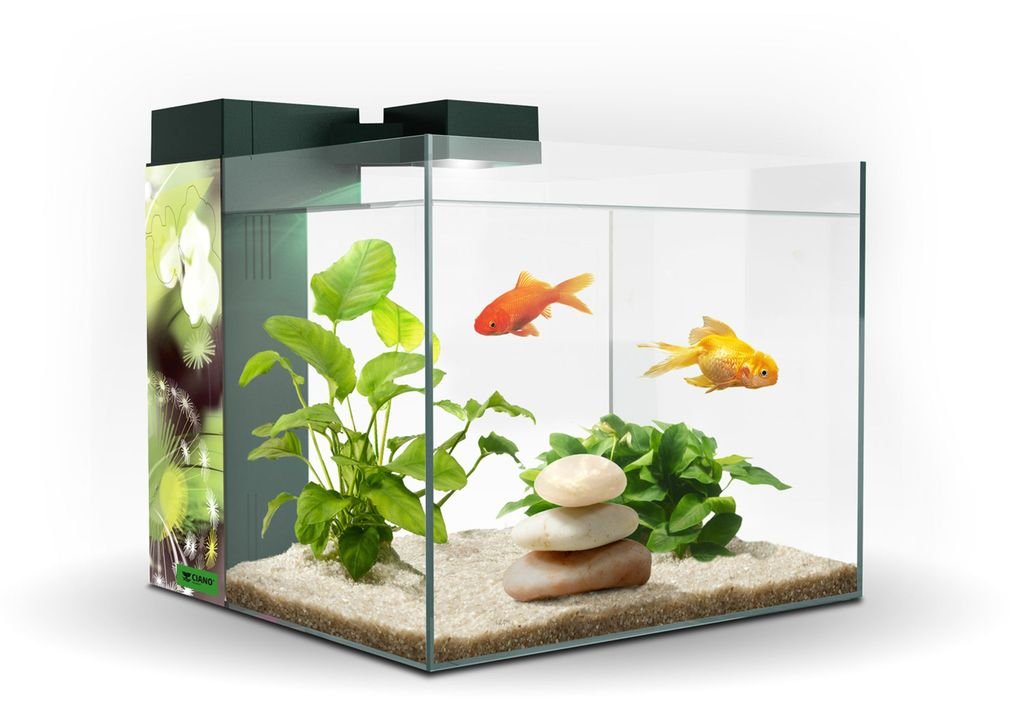 Acuario Zeneo 30 Obsesion***