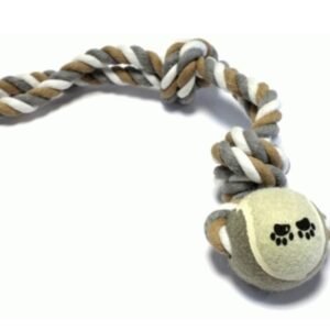 Tennis Ctn 42X7X7CM.