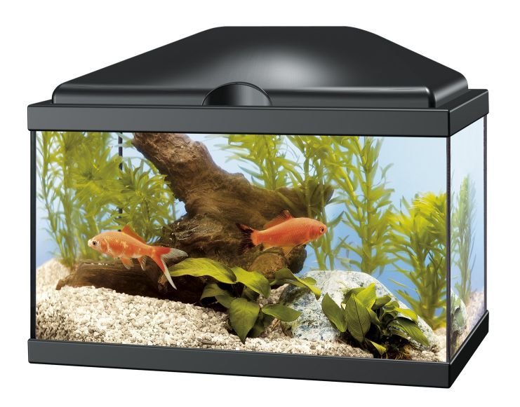 Acuario Aqua 20 LED. Negro