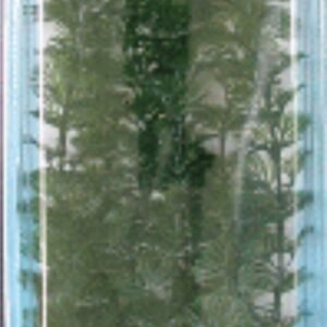 Planta Cabomba Plus (28-33CM) L ***