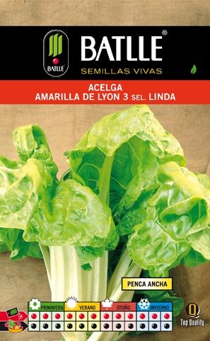 Acelga Amarilla de Lyon.linda Sobre
