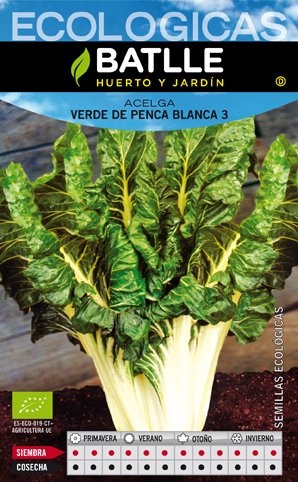 Acelga Verde Blanca 3 Pencosa 25 Gr