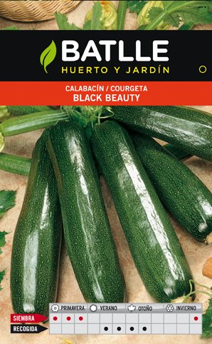 Calabacin Black Beauty Sobre