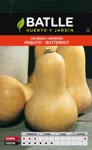 Calabaza Anquito-butternut Sobre