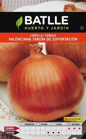 Cebolla Valenciana Tardia Recas Sobre