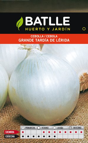 Cebolla Grande Tardia de Lerida Sobre
