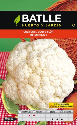 Coliflor Dominant Blanquita